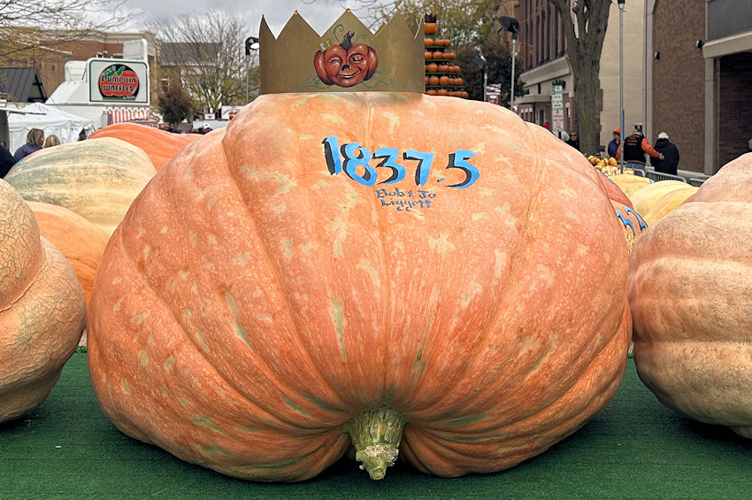 The Official Circleville Pumpkin Show Website Webcams