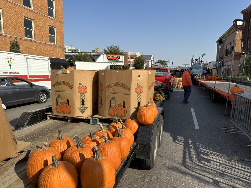 The Official Circleville Pumpkin Show Website - Photos