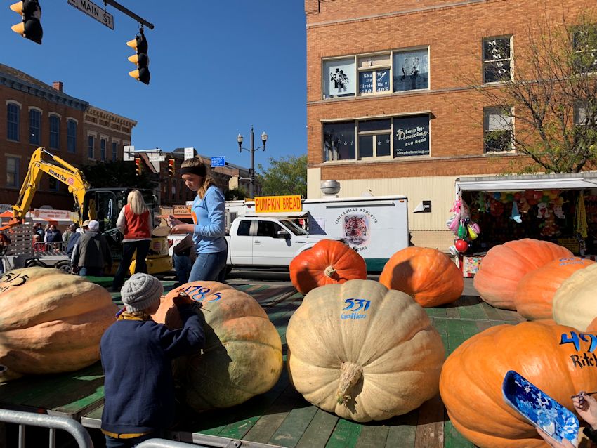 The Official Circleville Pumpkin Show Website